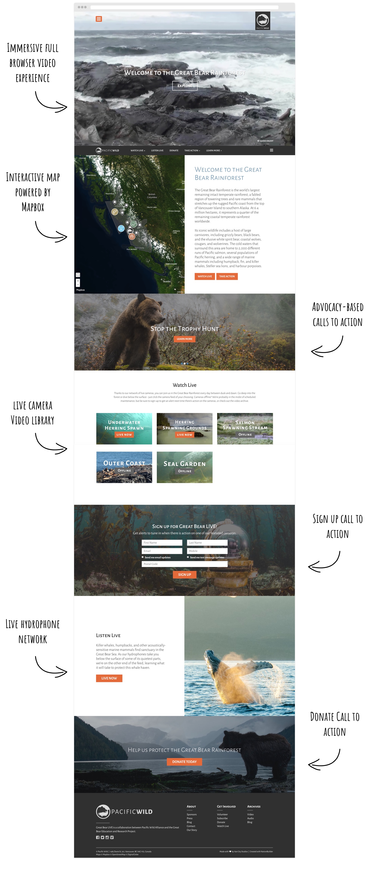 Great Bear LIVE homepage with full-screen rainforest video
